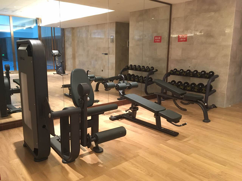 酒店健身房器材,室内健身器材,高端商用健身器材-广西KY.COM-开云(中国)体育健身器材有限公司