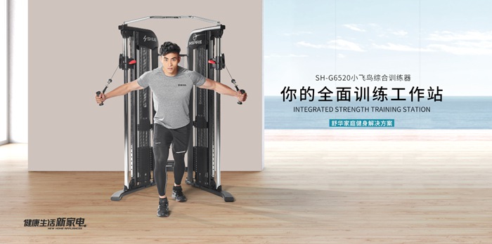 KY.COM-开云(中国)健身器材-小飞鸟综合训练器SH-G6520